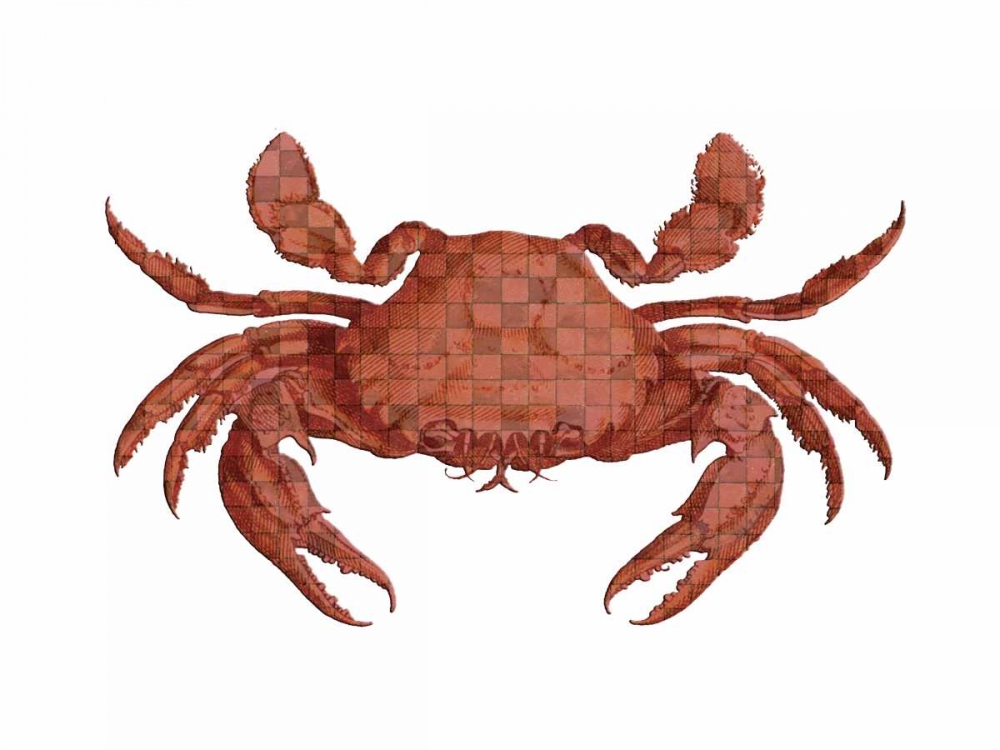 Crustation Pattern 2 art print by Sheldon Lewis for $57.95 CAD