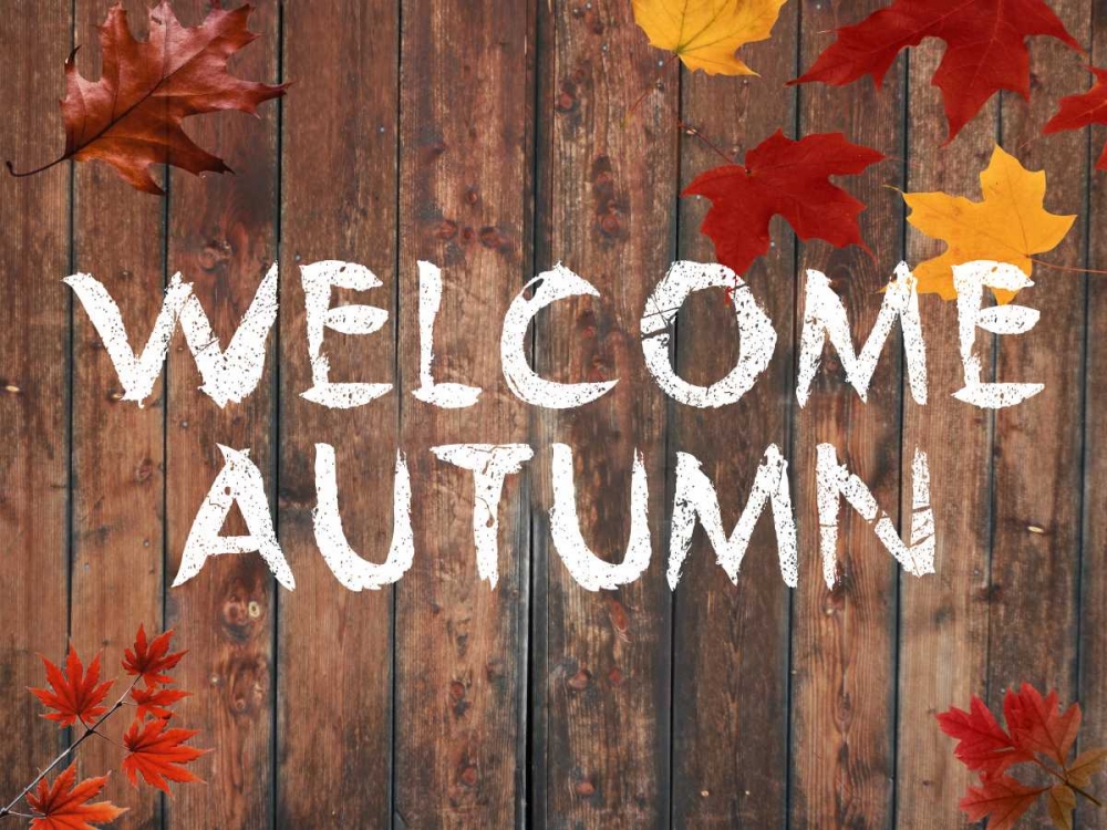 Welcome Autumn art print by Sheldon Lewis for $57.95 CAD
