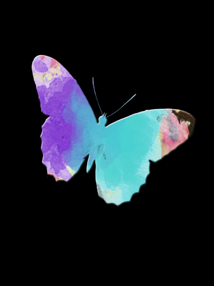 Watercolor Butterfly art print by Sheldon Lewis for $57.95 CAD