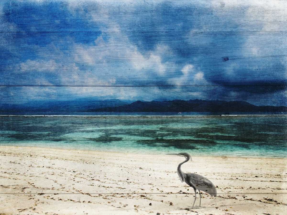Coastal 2 art print by Sheldon Lewis for $57.95 CAD
