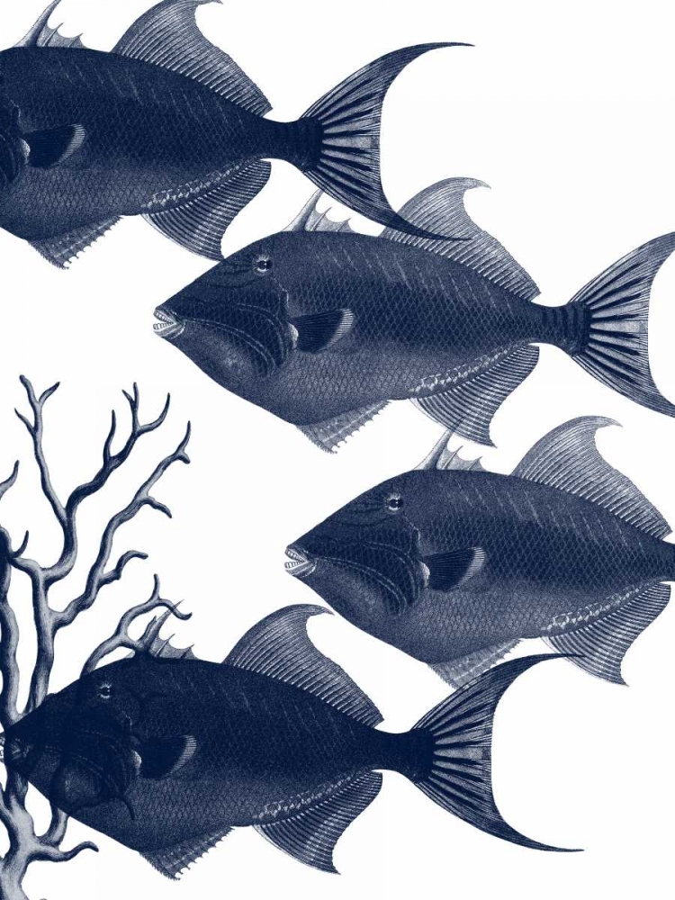 Coastal Orchestra art print by Sheldon Lewis for $57.95 CAD