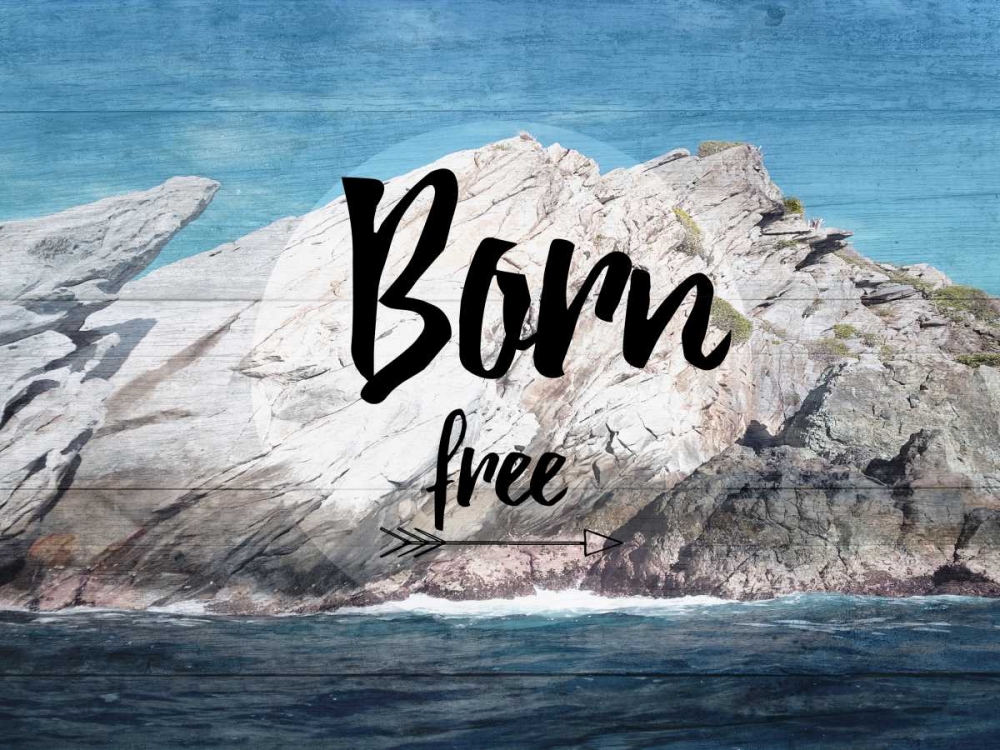 BoRn Free art print by Sheldon Lewis for $57.95 CAD