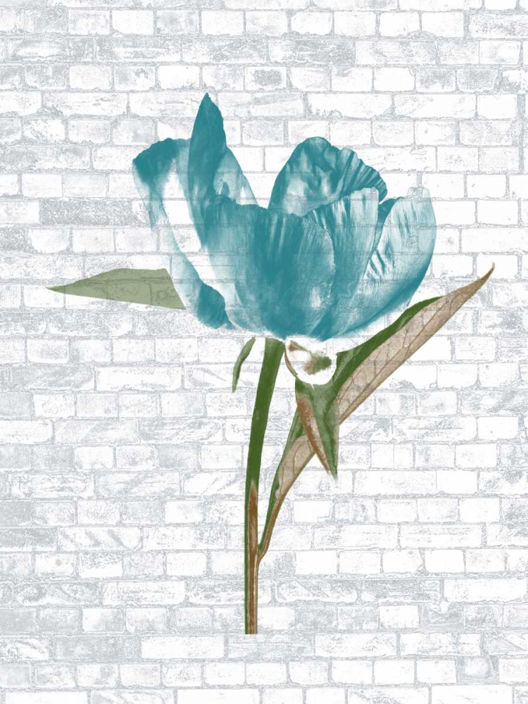 Blue Brick Floral art print by Sheldon Lewis for $57.95 CAD