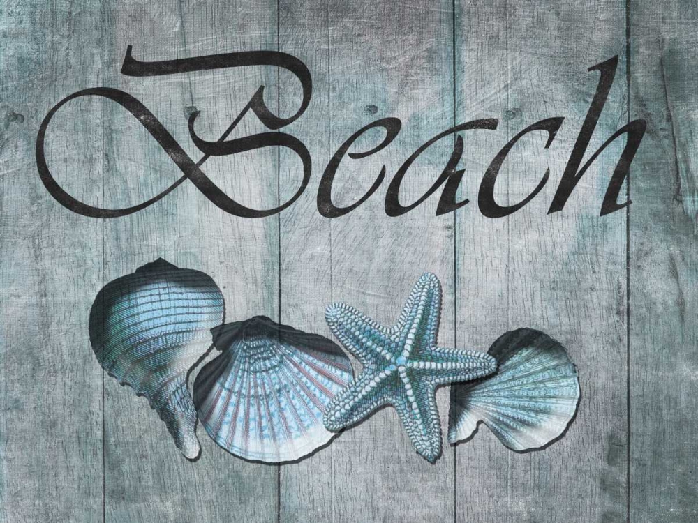 Beach Shells art print by Sheldon Lewis for $57.95 CAD