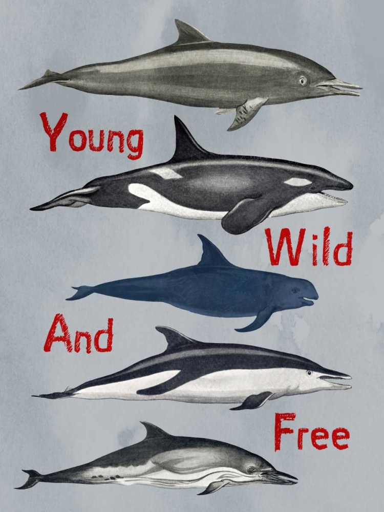 Young Wild And Free art print by Sheldon Lewis for $57.95 CAD