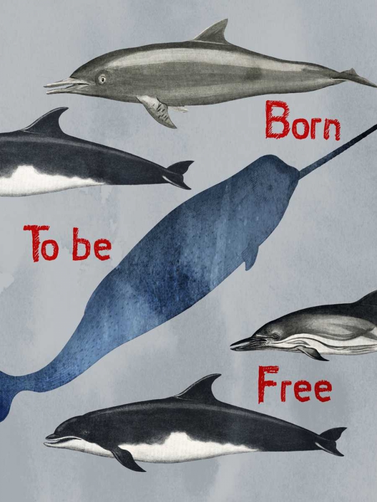 Born To Be Free art print by Sheldon Lewis for $57.95 CAD