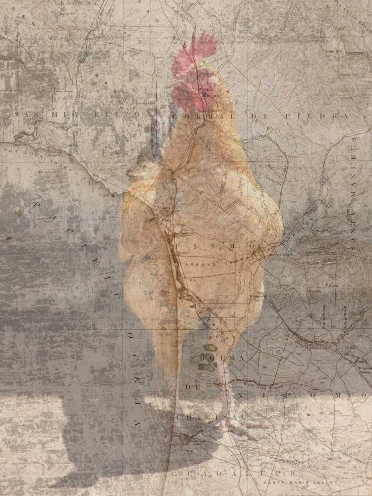Traveling Rooster art print by Sheldon Lewis for $57.95 CAD