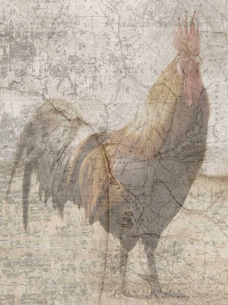Traveling Rooster 2 art print by Sheldon Lewis for $57.95 CAD