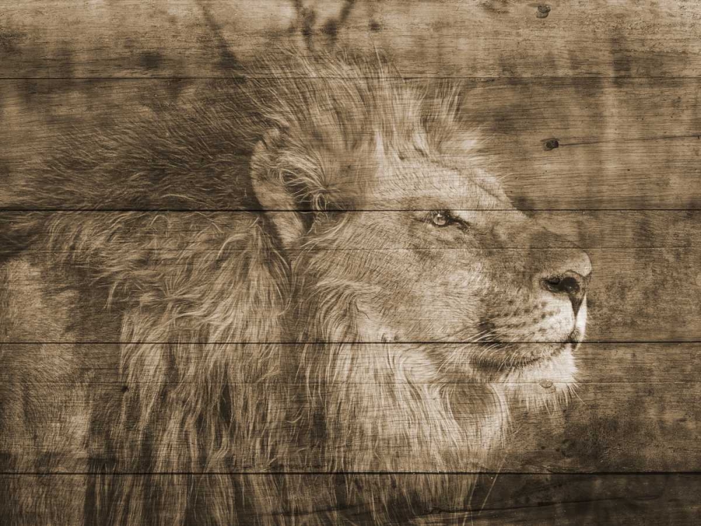 King art print by Sheldon Lewis for $57.95 CAD