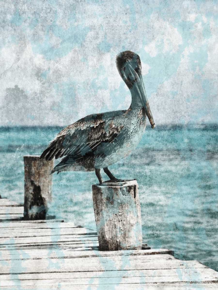Coastal Pride art print by Sheldon Lewis for $57.95 CAD