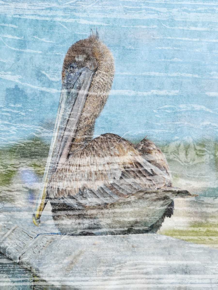 Coastal Pride 3 art print by Sheldon Lewis for $57.95 CAD
