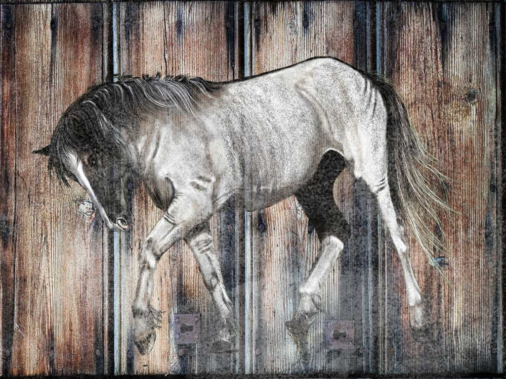 Farm Horse art print by Sheldon Lewis for $57.95 CAD