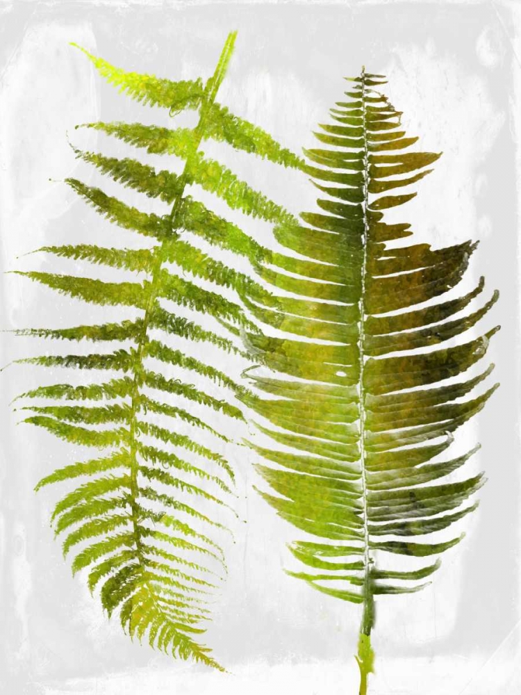 Tropic Spring art print by Sheldon Lewis for $57.95 CAD
