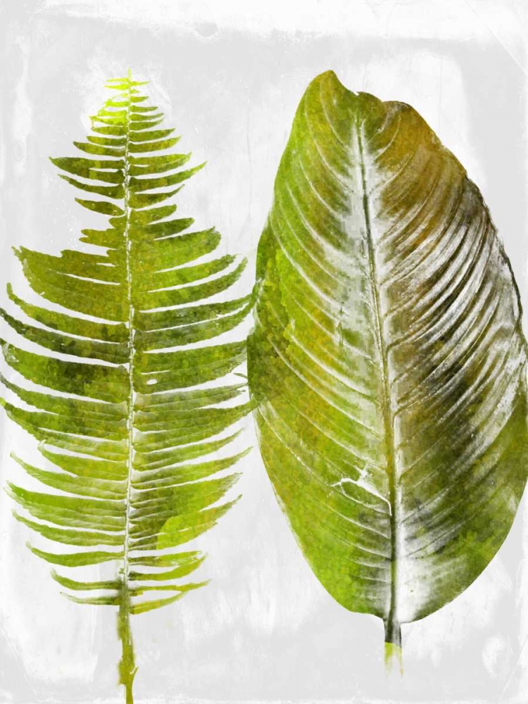 Tropic Spring 1 art print by Sheldon Lewis for $57.95 CAD