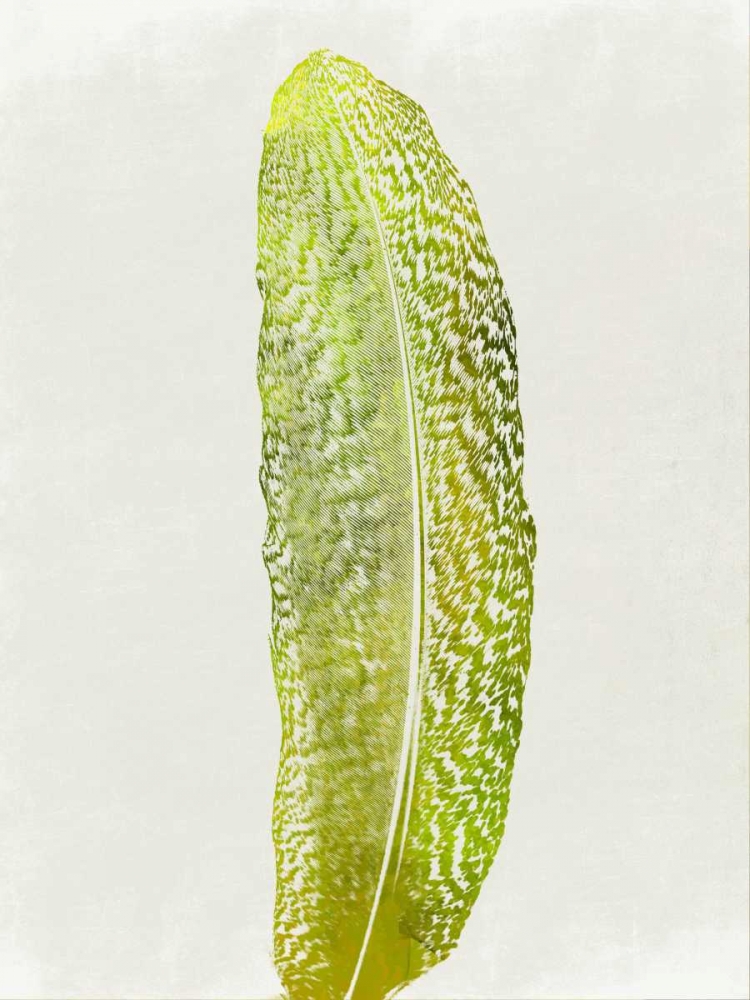 Single Bird art print by Sheldon Lewis for $57.95 CAD