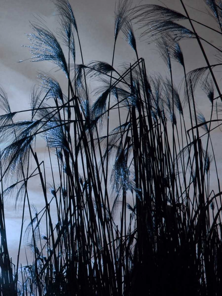Blue Sunset 2 art print by Sheldon Lewis for $57.95 CAD