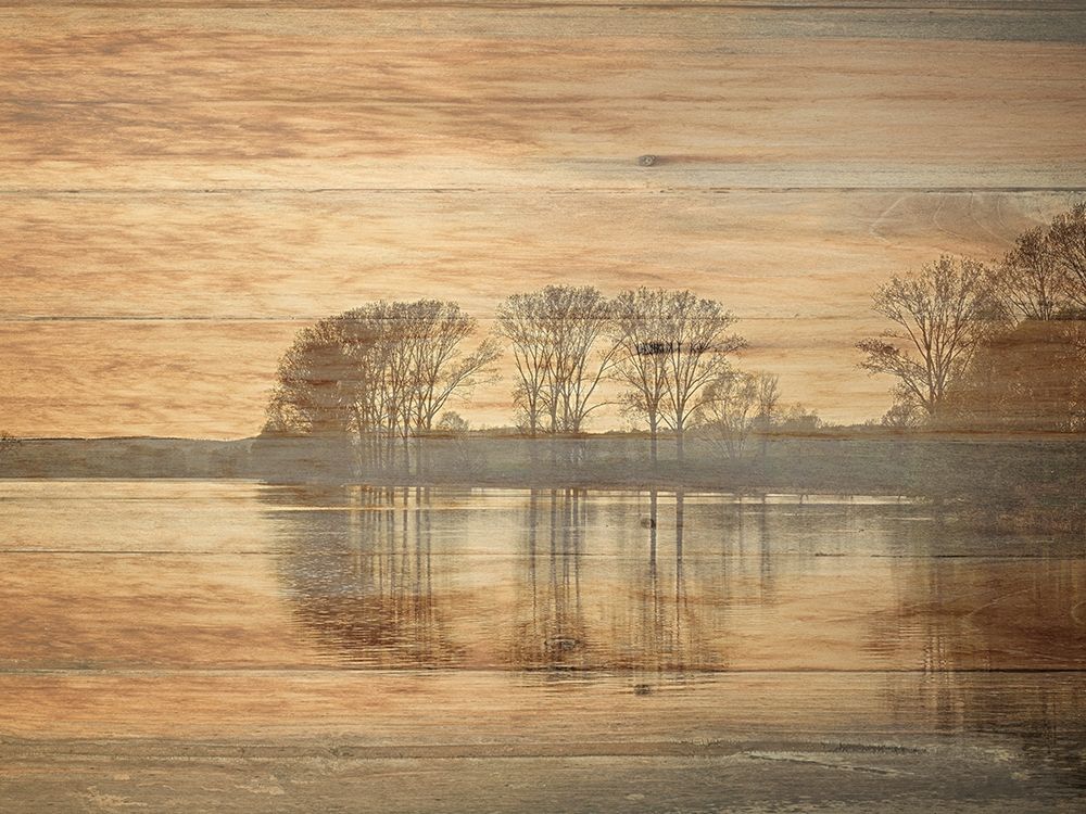 Out Doors art print by Sheldon Lewis for $57.95 CAD
