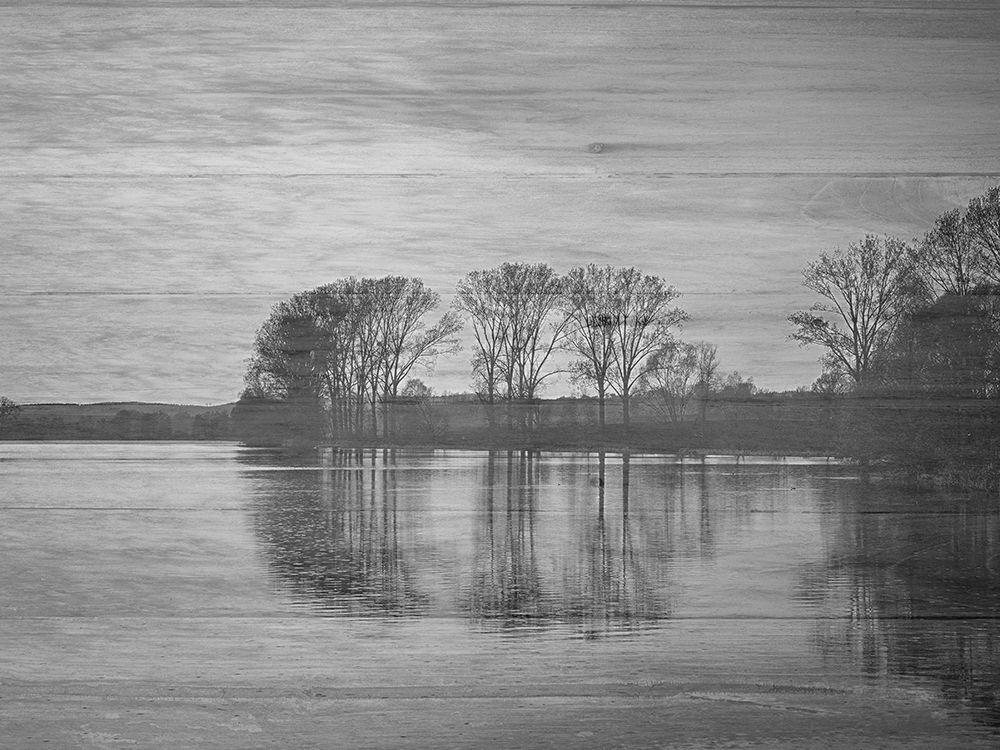 Out Doors BW art print by Sheldon Lewis for $57.95 CAD