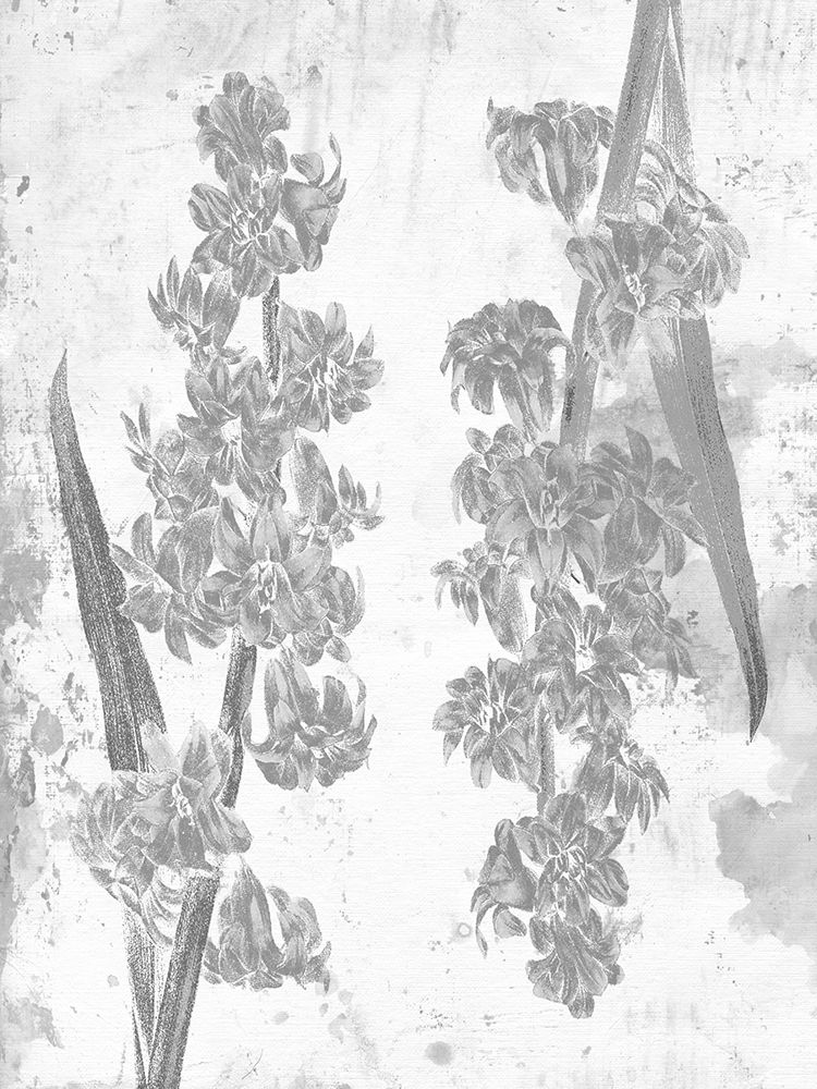 Floral Black art print by Sheldon Lewis for $57.95 CAD