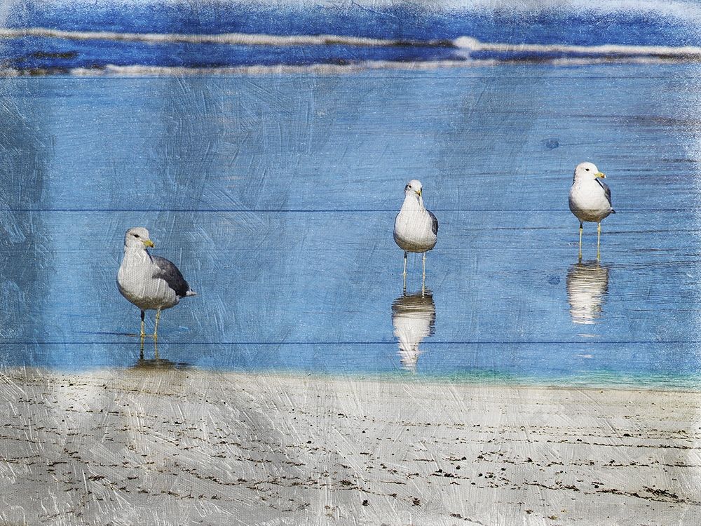 Three Is Company art print by Sheldon Lewis for $57.95 CAD