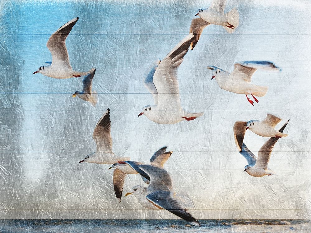 Fly With Friends art print by Sheldon Lewis for $57.95 CAD