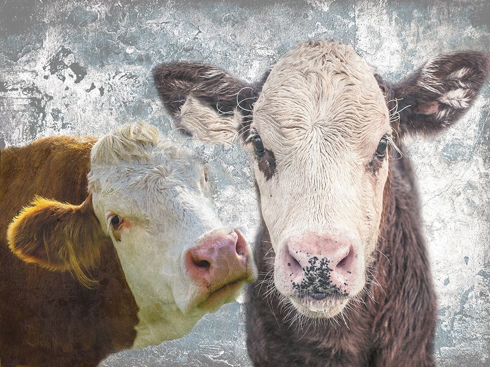 Two Moo art print by Sheldon Lewis for $57.95 CAD