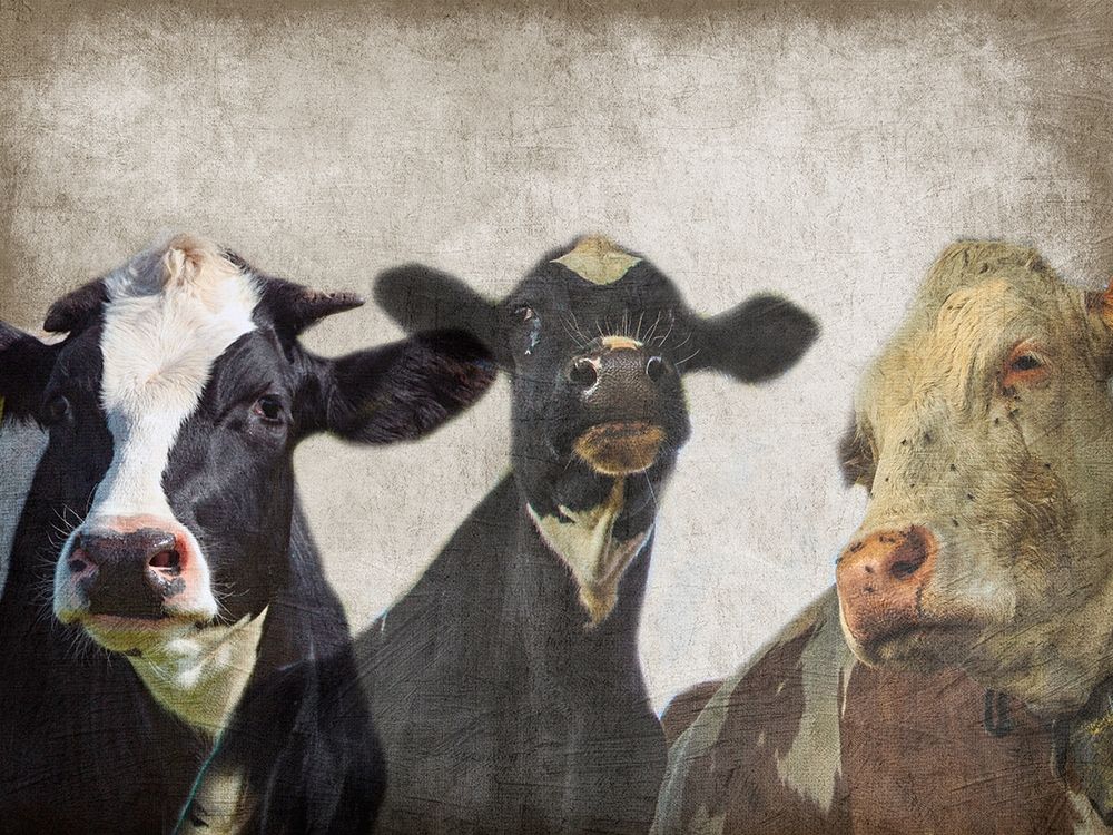 Selfie Family art print by Sheldon Lewis for $57.95 CAD