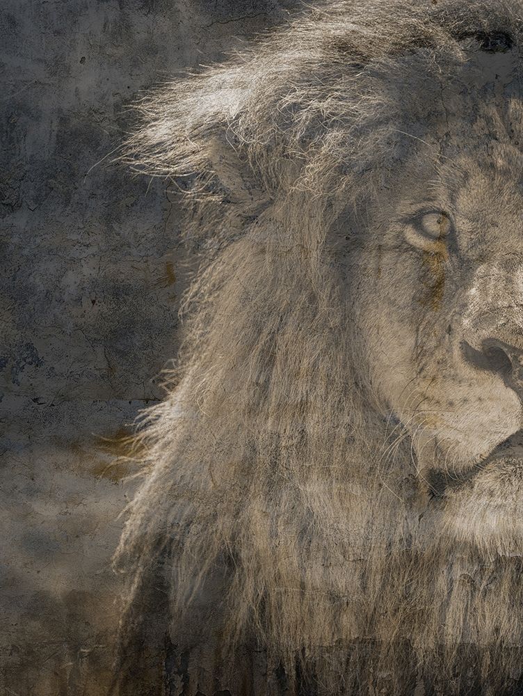Eyes Of A Champion art print by Sheldon Lewis for $57.95 CAD