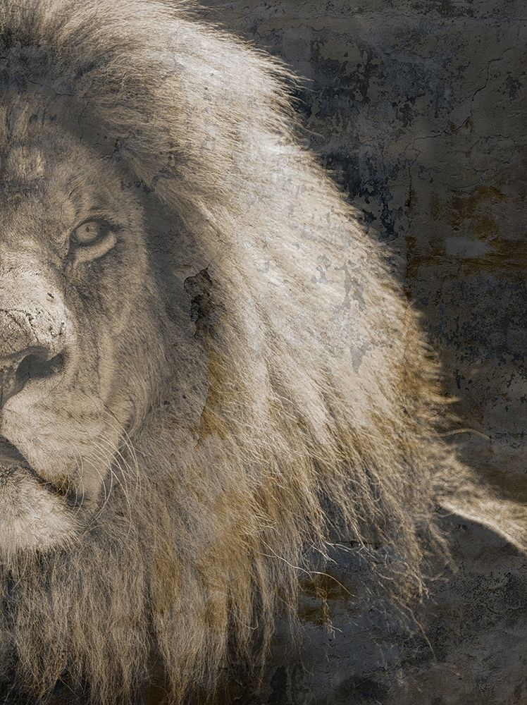 Eyes Of A Champion 2 art print by Sheldon Lewis for $57.95 CAD