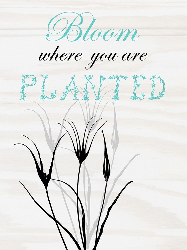 Bloom art print by Sheldon Lewis for $57.95 CAD