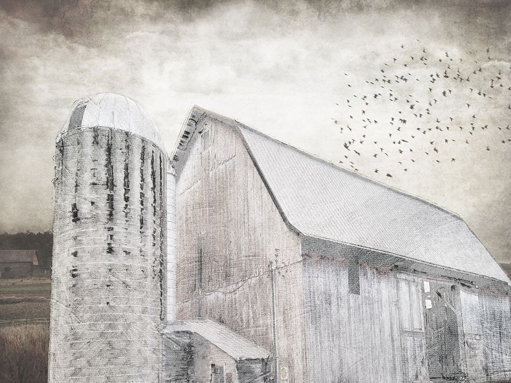 Grainhouse art print by Sheldon Lewis for $57.95 CAD