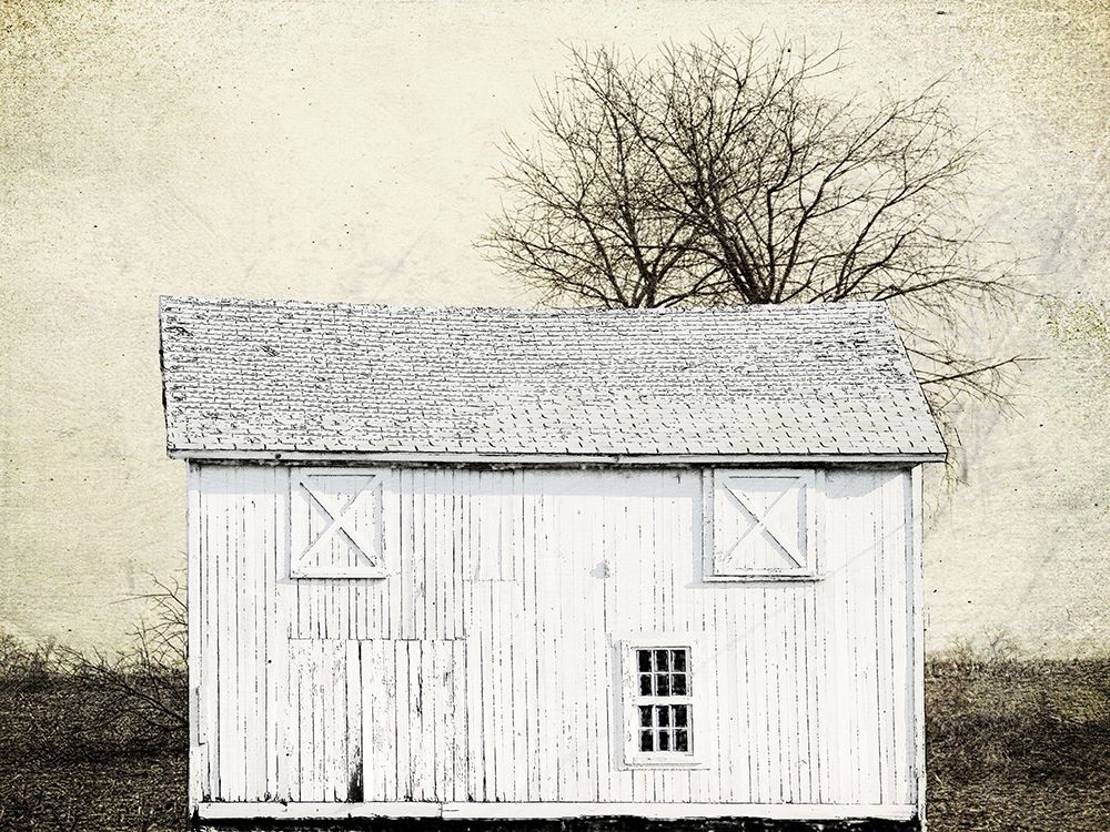 Out Field art print by Sheldon Lewis for $57.95 CAD