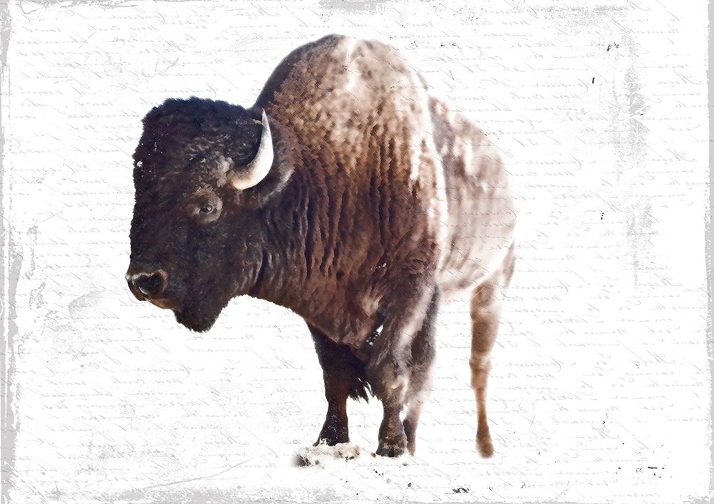 Stome Head art print by Sheldon Lewis for $57.95 CAD