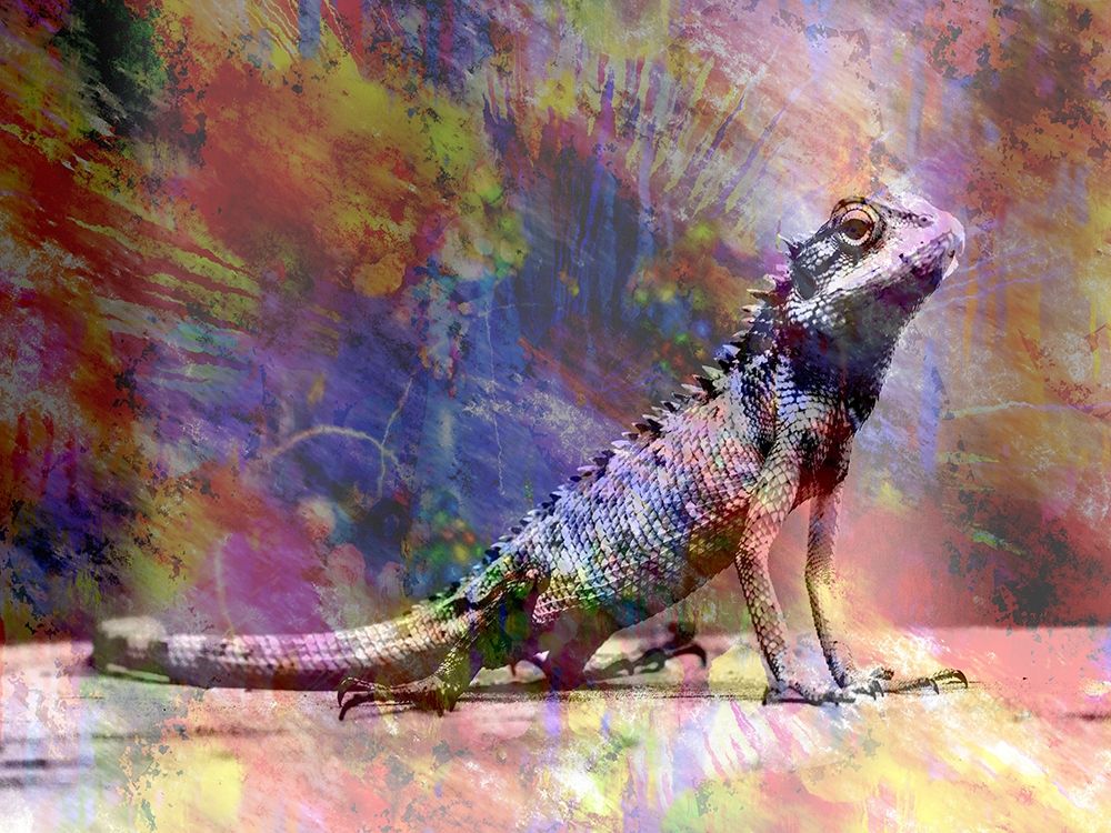 Hello Geco art print by Sheldon Lewis for $57.95 CAD