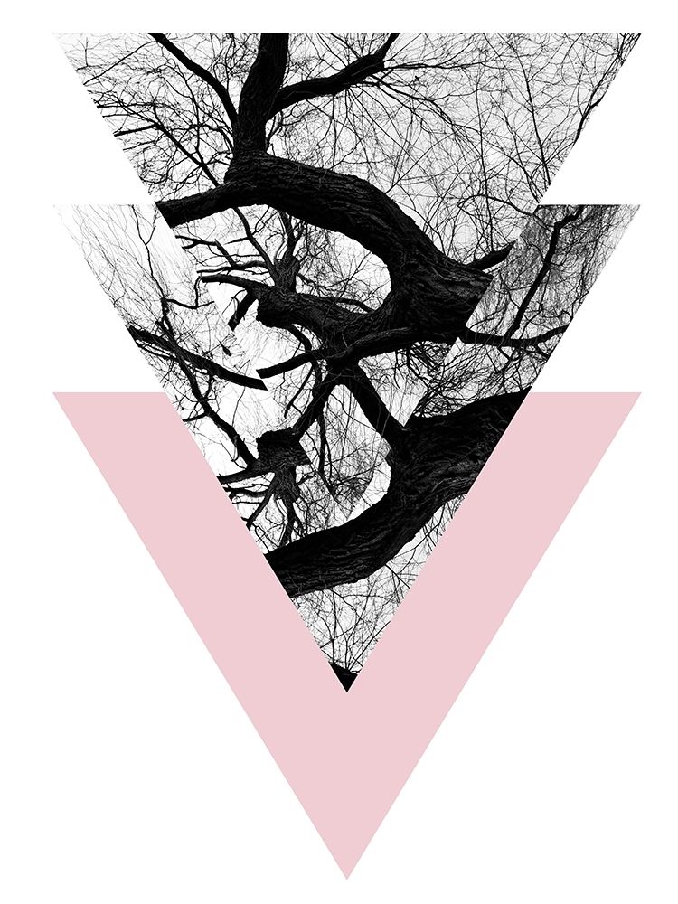 Natures Balance art print by Sheldon Lewis for $57.95 CAD