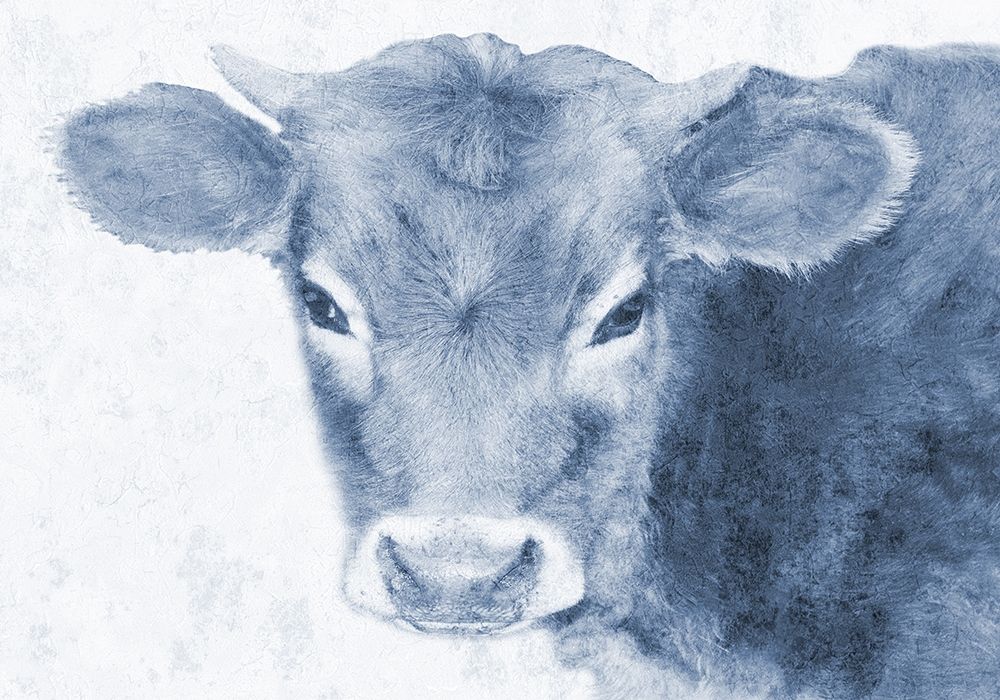 Tone To Tonal Farm Stead art print by Sheldon Lewis for $57.95 CAD