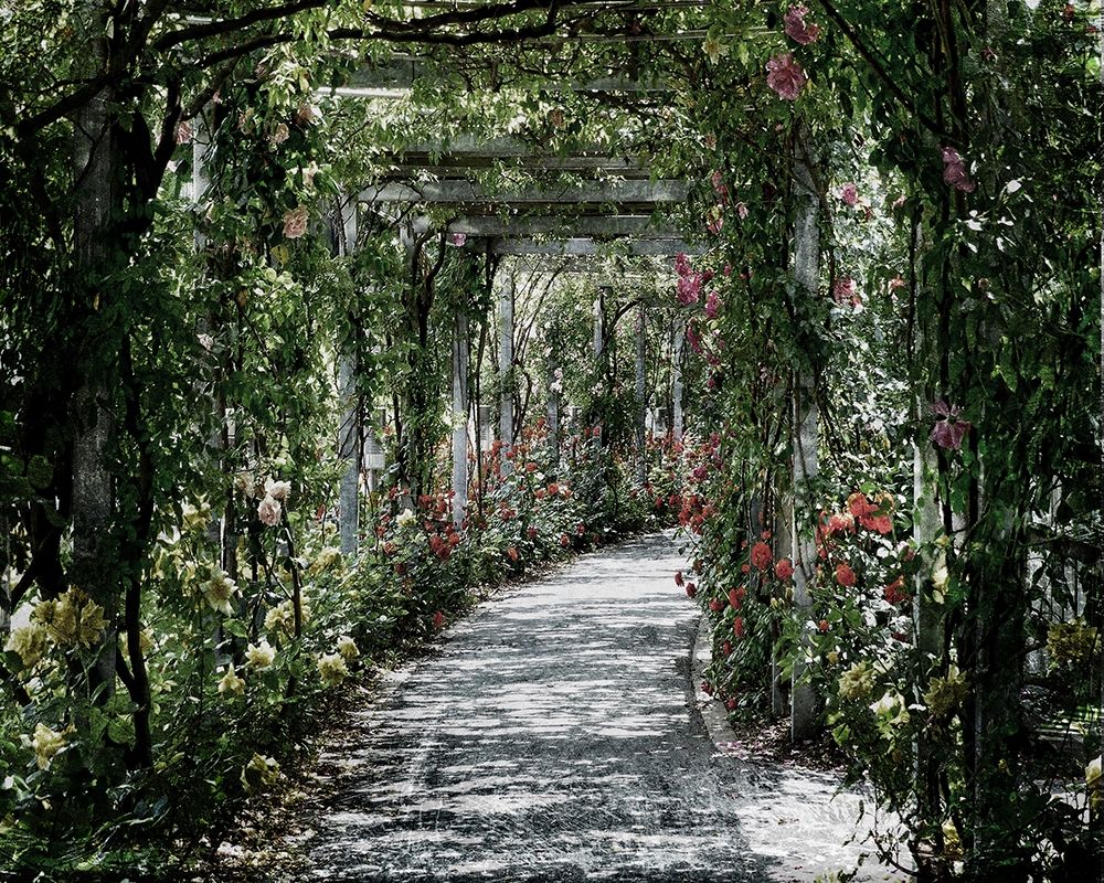 Vintage Garden art print by Sheldon Lewis for $57.95 CAD