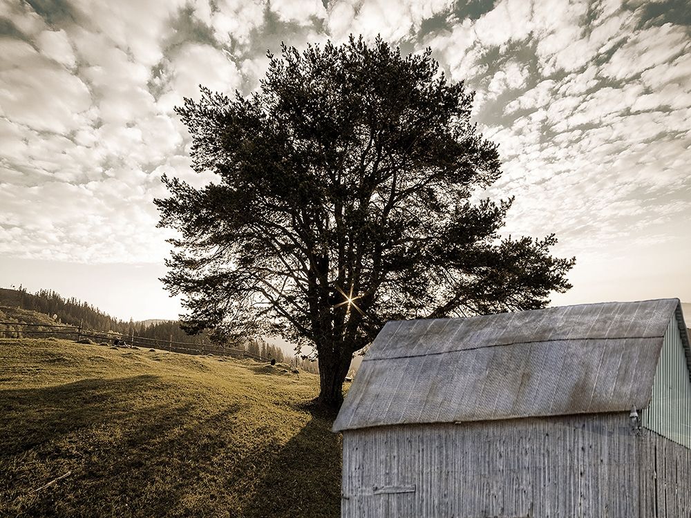Landscape art print by Sheldon Lewis for $57.95 CAD