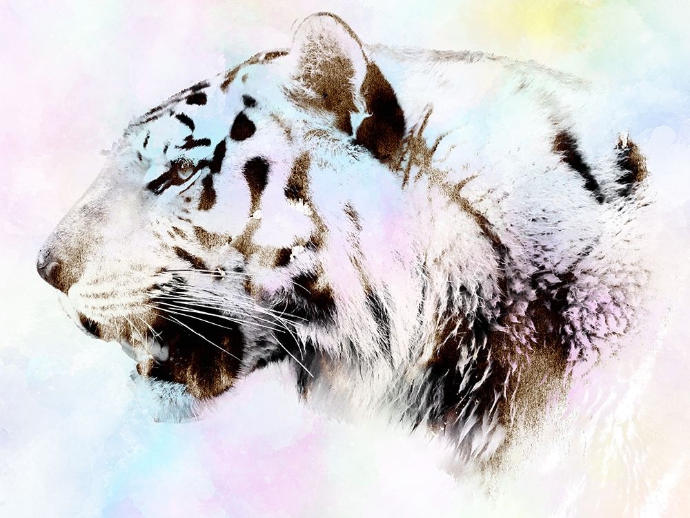 Bangal art print by Sheldon Lewis for $57.95 CAD