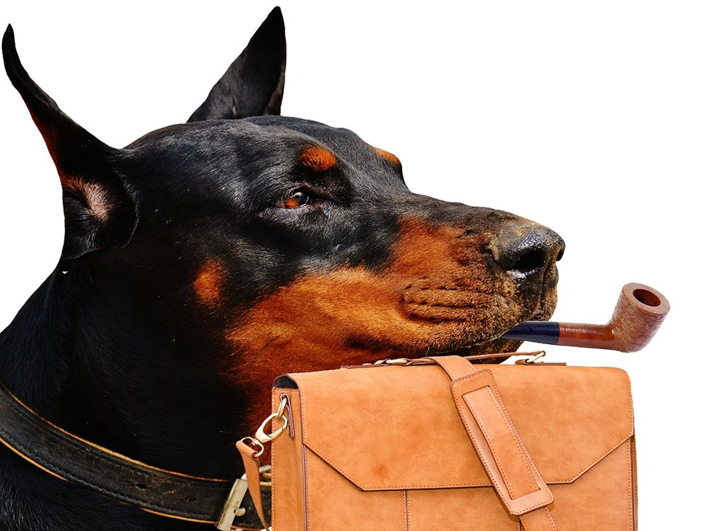 Dog Day At Work art print by Sheldon Lewis for $57.95 CAD