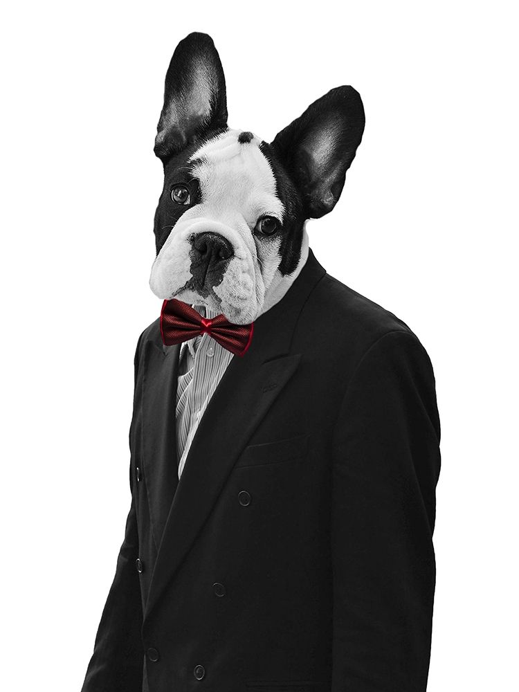 French Man art print by Sheldon Lewis for $57.95 CAD