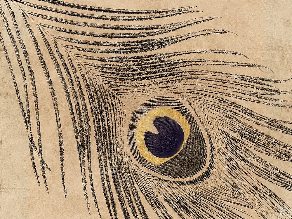 Gold Line Peacock art print by Sheldon Lewis for $57.95 CAD