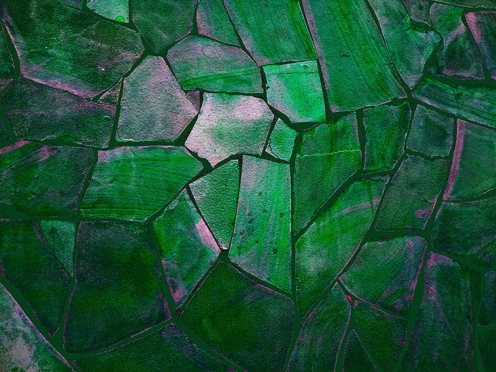 Tropical Green art print by Sheldon Lewis for $57.95 CAD