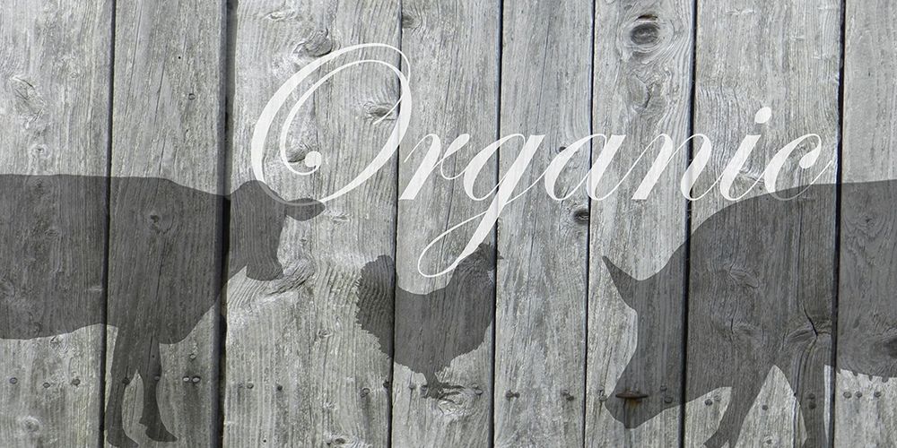 Organic art print by Sheldon Lewis for $57.95 CAD