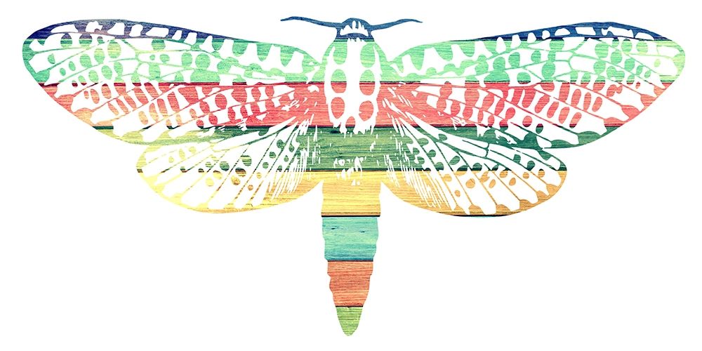 Floating Colors art print by Sheldon Lewis for $57.95 CAD