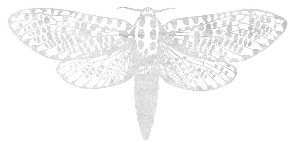 Floating Angel art print by Sheldon Lewis for $57.95 CAD