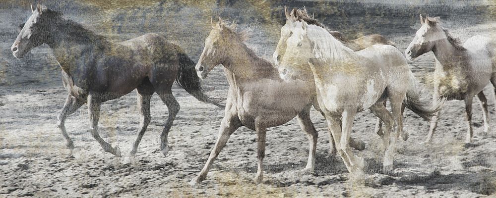 Free Spirits art print by Sheldon Lewis for $57.95 CAD
