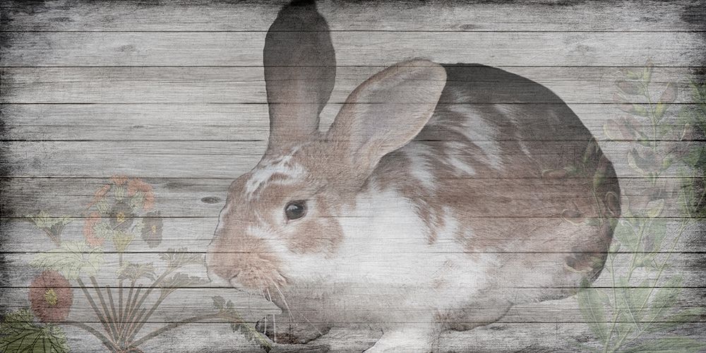 Hello Peter art print by Sheldon Lewis for $57.95 CAD