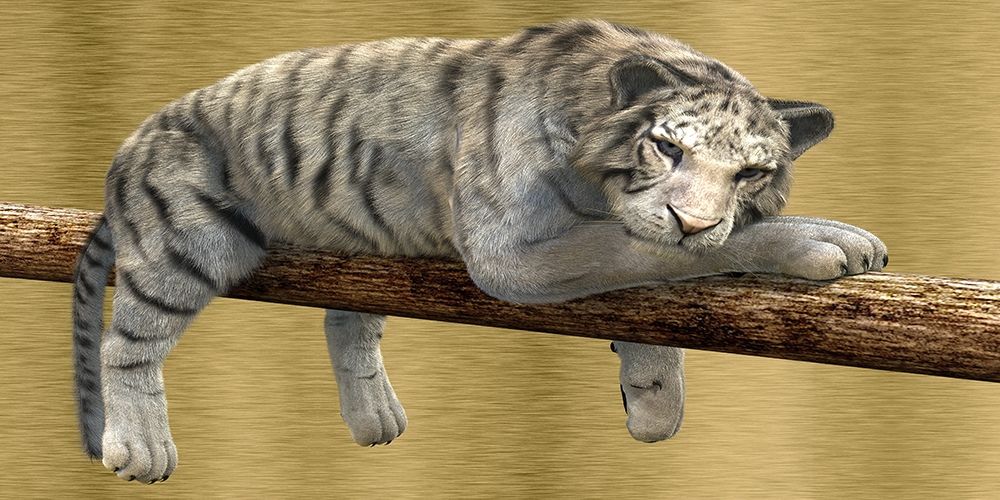 Nap art print by Sheldon Lewis for $57.95 CAD