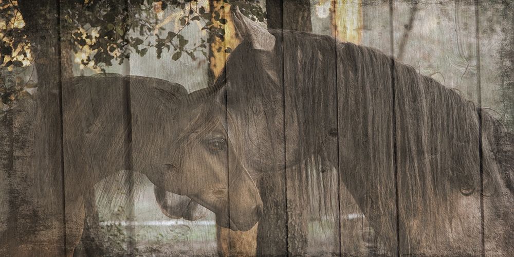 Love On The Ranch art print by Sheldon Lewis for $57.95 CAD